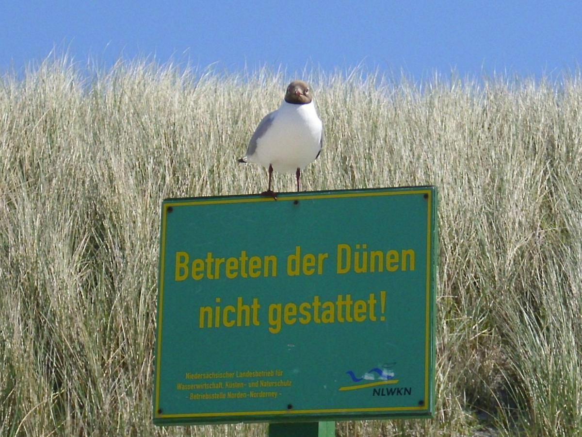 Seevilla Wietjes Whg 3 Baltrum Exterior foto